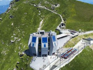 monte generoso fiore di pietra