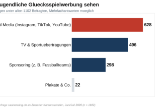 Grafik1 Werbekanaele Original